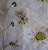 gracie may stitch artist